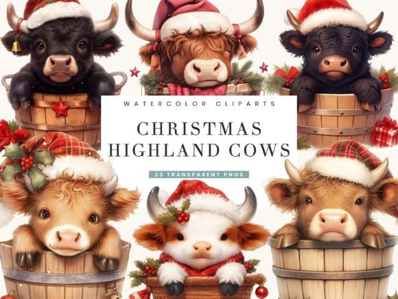 Christmas Highland Cows in Bucket Illustrations